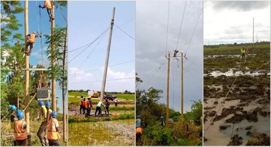 The Tanzanian government, through the Rural Energy Agency (REA)