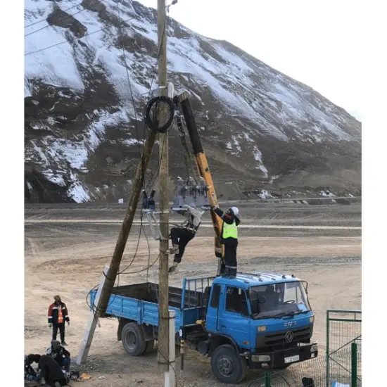 Adapting to Extreme Environments: 4D Customization for High Altitude, Cold, Salt Spray, and Pollution to Boost Recloser Controllers Reliability