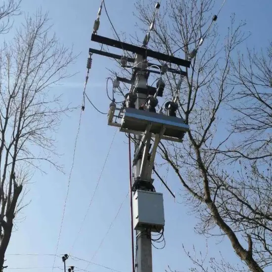 Vietnam & Indonesia Exclusive Primary-Secondary Integrated Vacuum Circuit Breaker Solution for Rural Grid Infrastructure — Ultra-Simple Installation