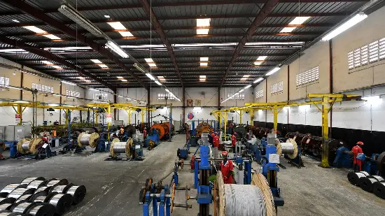 Rooted in Africa, Lighting Up the Future: The Growth Path of Africab Group as a Model Local Electrical Manufacturing Enterprise