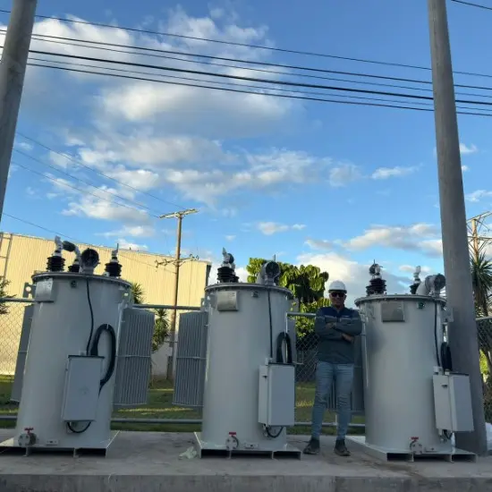 Successful Case Study of 24 Units of 14.4kV Oil-Immersed Voltage Regulators for the El Salvador Project