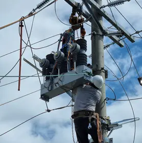 RW Energy Tanzania 325 Units 33 kV Auto Recloser Project Case Study