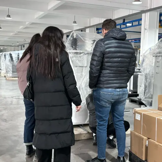 Algerische Kundengruppe besucht die Vziman-Fabrik: Gemeinsame Erforschung der neuen Zukunft der Stromerzeugung