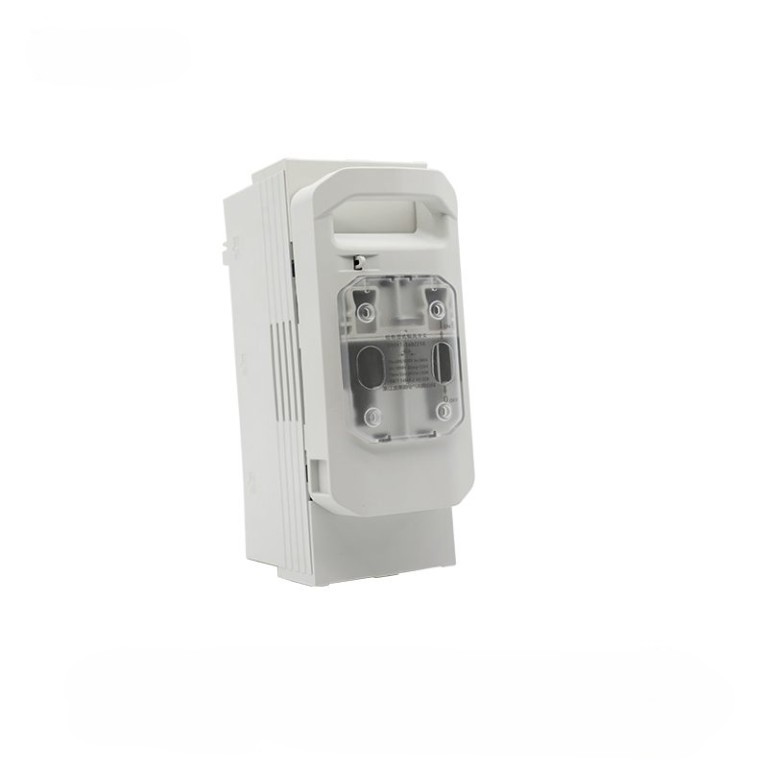 DNH1-160/21G 2P switch fused