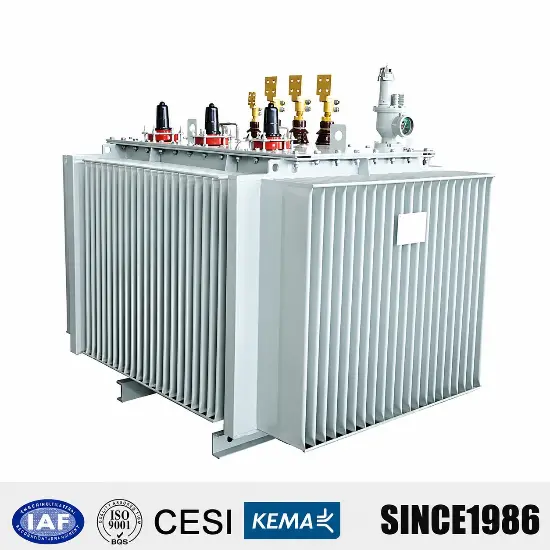 Durable H61 H59 5.5 kV 13.2kV 15kV 33kV Power Distribution Transformer for Sale