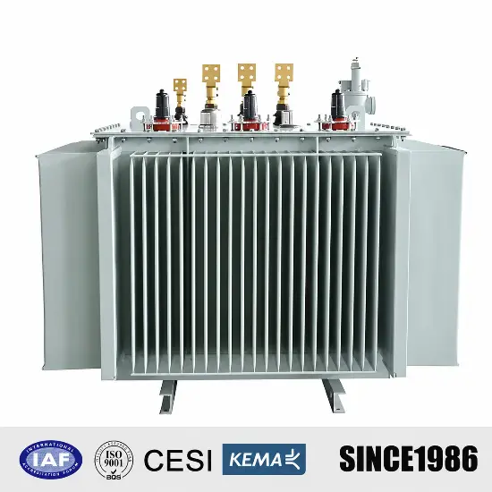 Durable H61 H59 5.5 kV 13.2kV 15kV 33kV Power Distribution Transformer for Sale