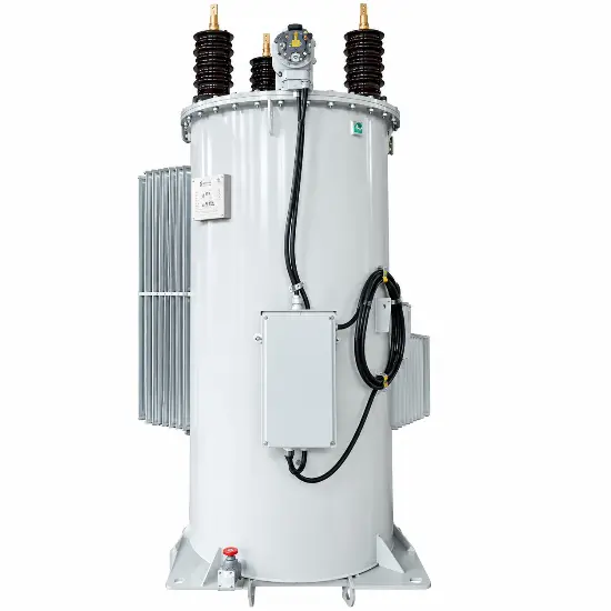 Single-phase Automatic Voltage Regulator Manufacturers 6kV-33kV