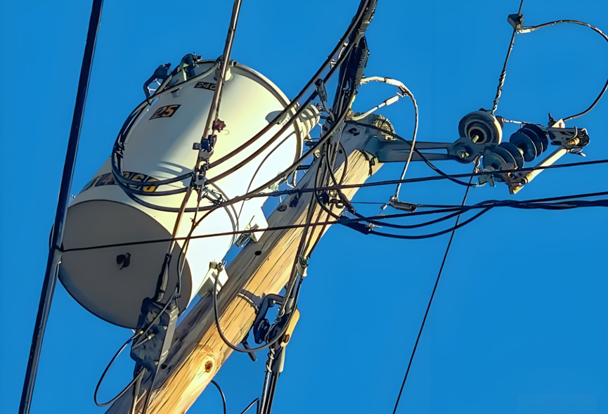 How primary feeder, distribution transformer, fuses and service operate in radial networks