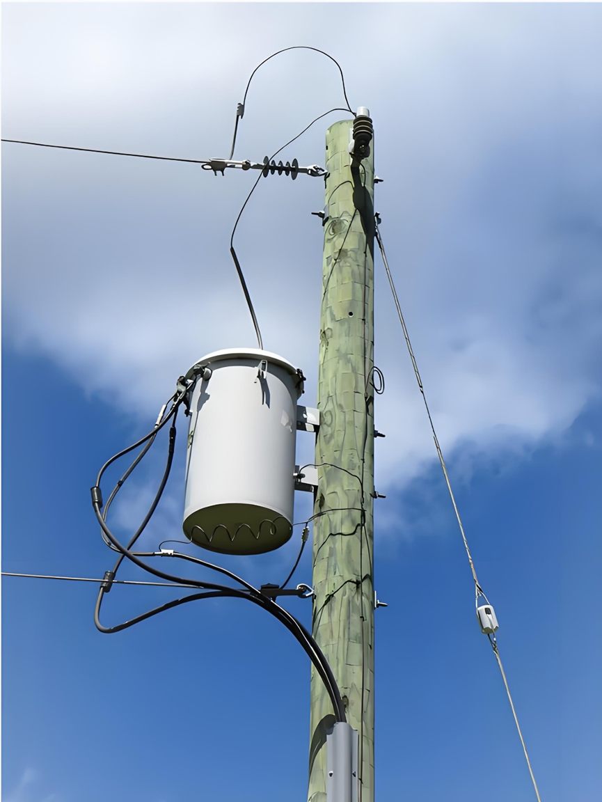 How primary feeder, distribution transformer, fuses and service operate in radial networks