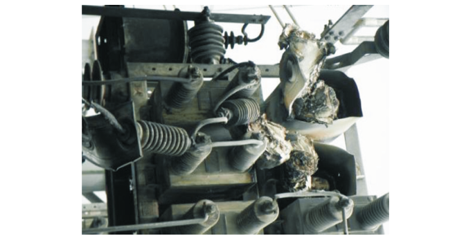 What Are the Failure Mechanisms Characteristics and Preventive Measures of Power Capacitors?