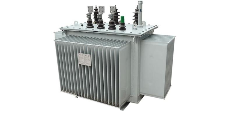 Analysis of Lightning Protection Measures for Distribution Transformers
