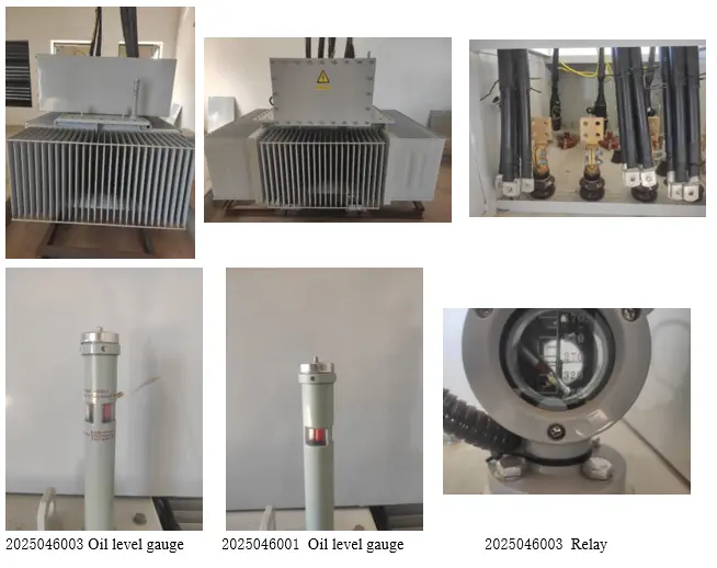 Transformer Operation and Maintenance Technical Analysis Report: Root Cause Analysis of Transformer Burn-out Due to Oil Loss in Madagascar