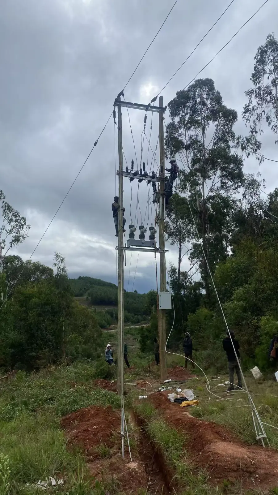 Sensitive Earth Fault (SEF) Protection Logic — The Physical Safety Lock for Smart Grids