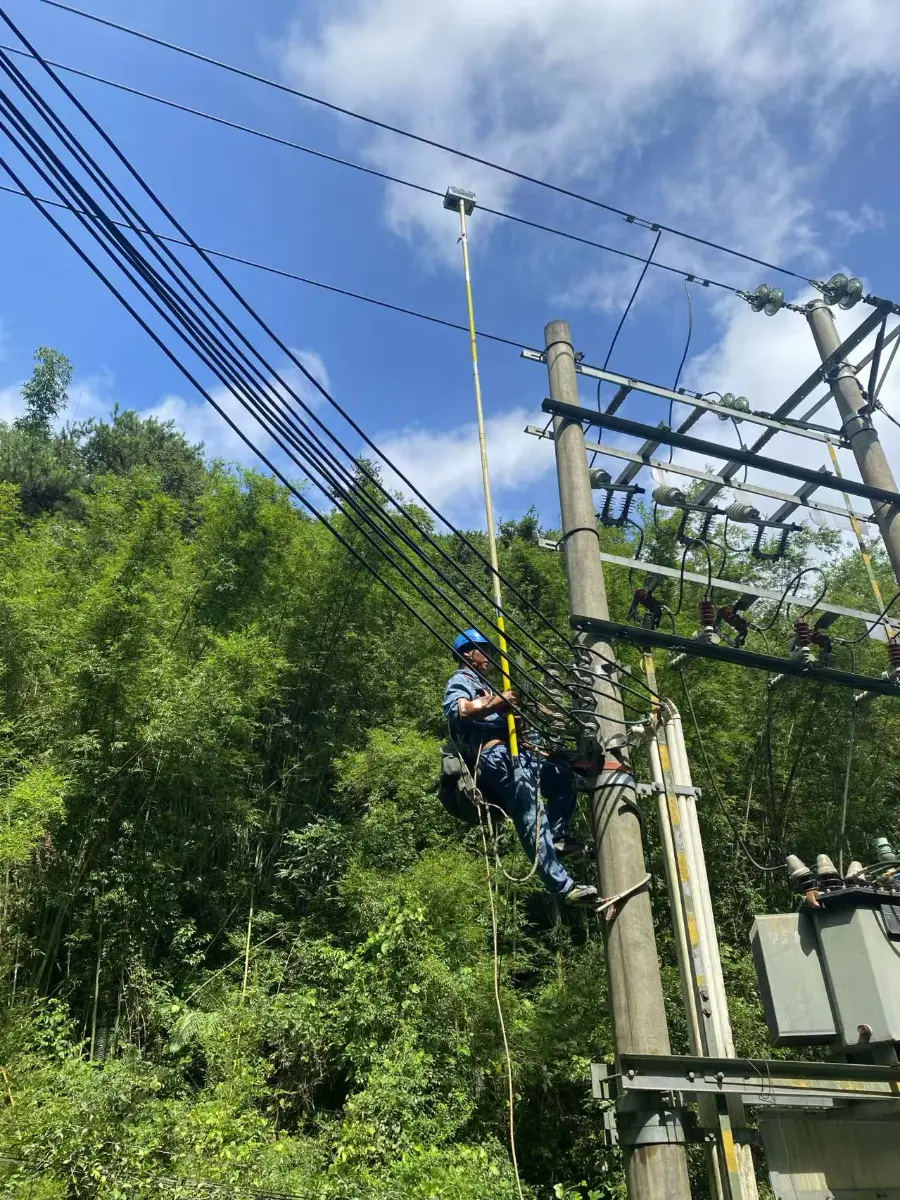 Distribution Line Fault Location and Early Warning Solution